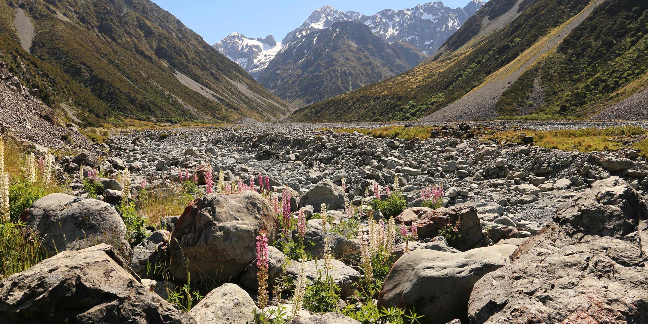 Upper Rangitata River Ten-Year Weed Plan