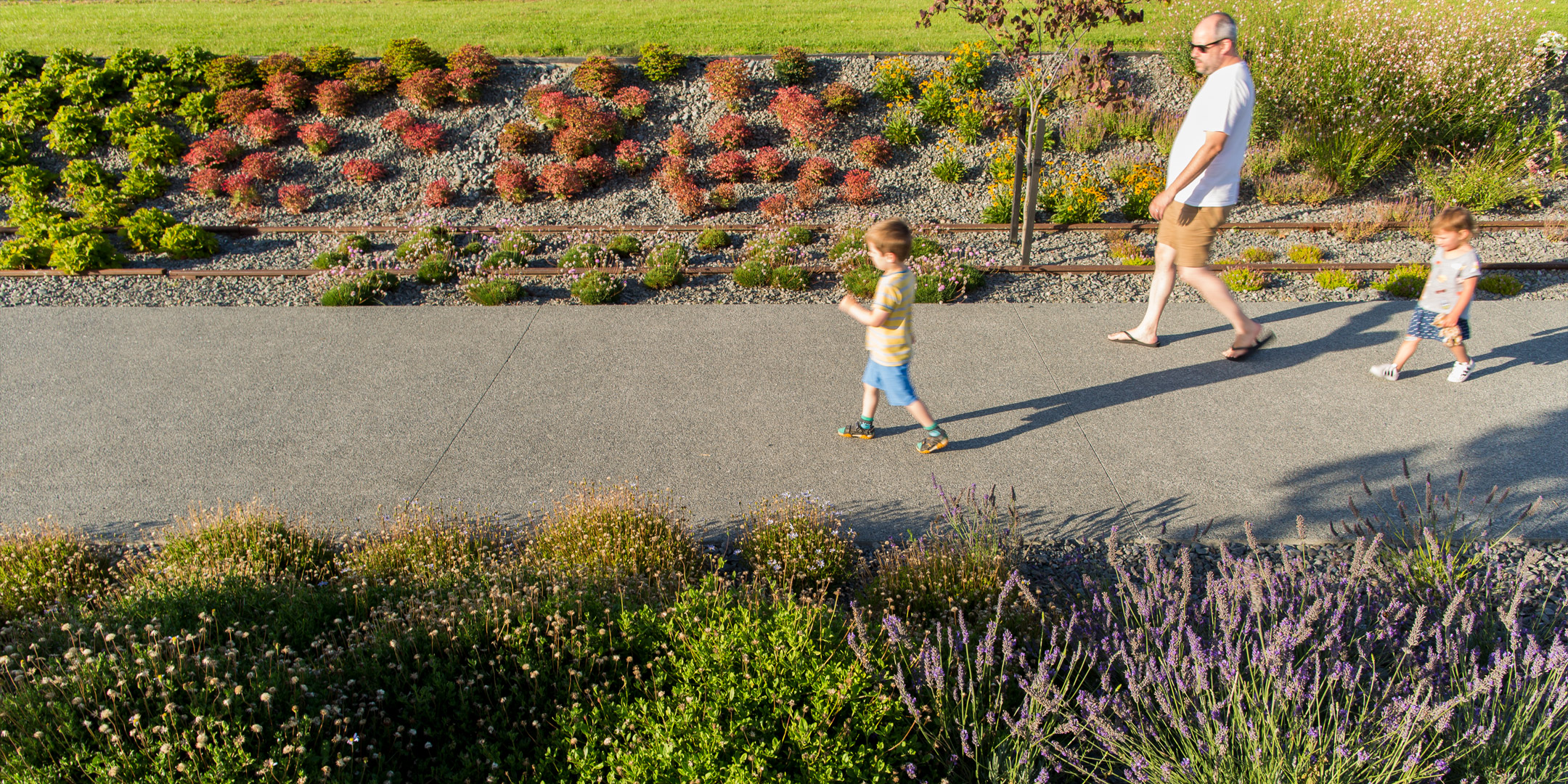 Resene Urban Design Award | Property Council New Zealand Southern Excellence Awards