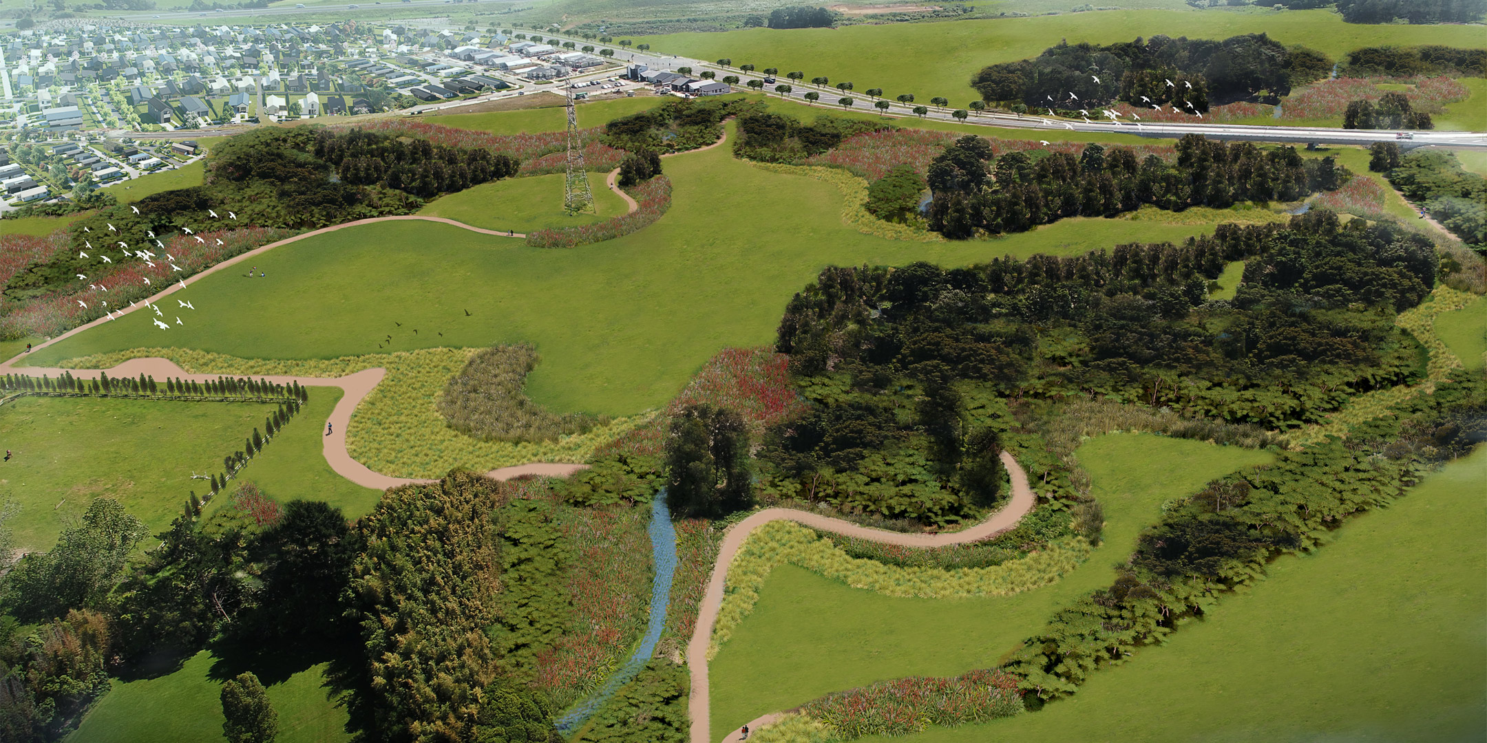 Drury South Crossing Stormwater Wetland One