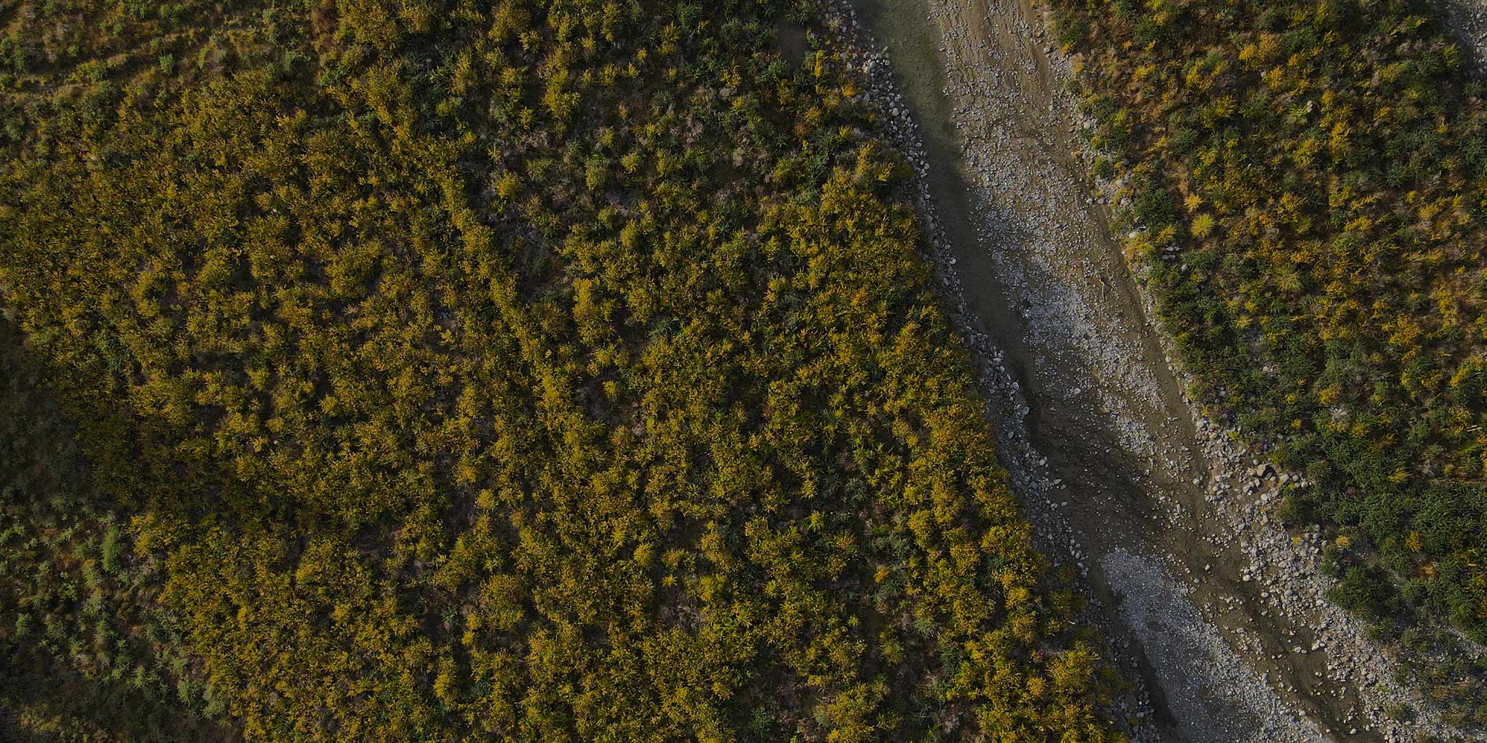 Waiau Toa | Clarence River Weed Control Strategy