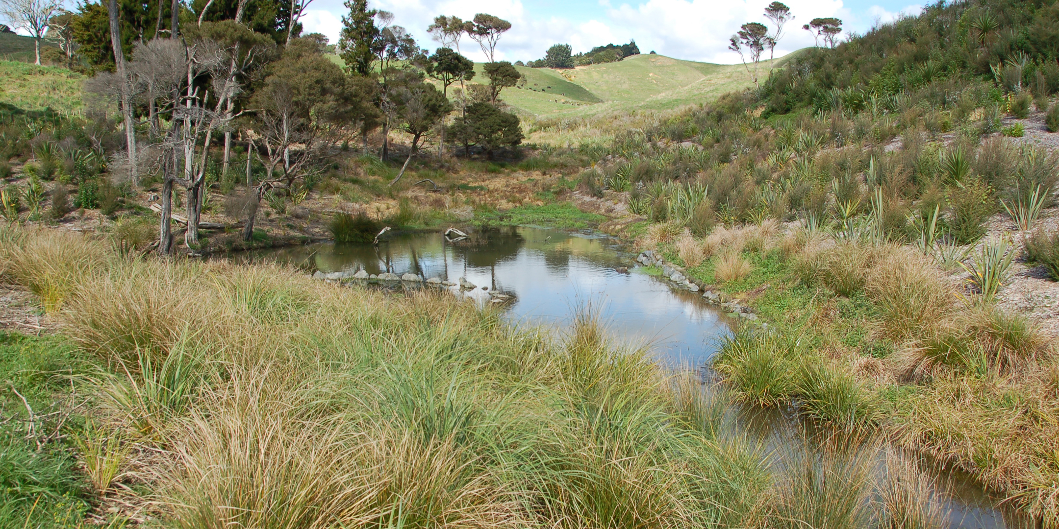 Category Finalist | Sustainability | NZILA Resene Pride of Place Landscape Architecture Awards