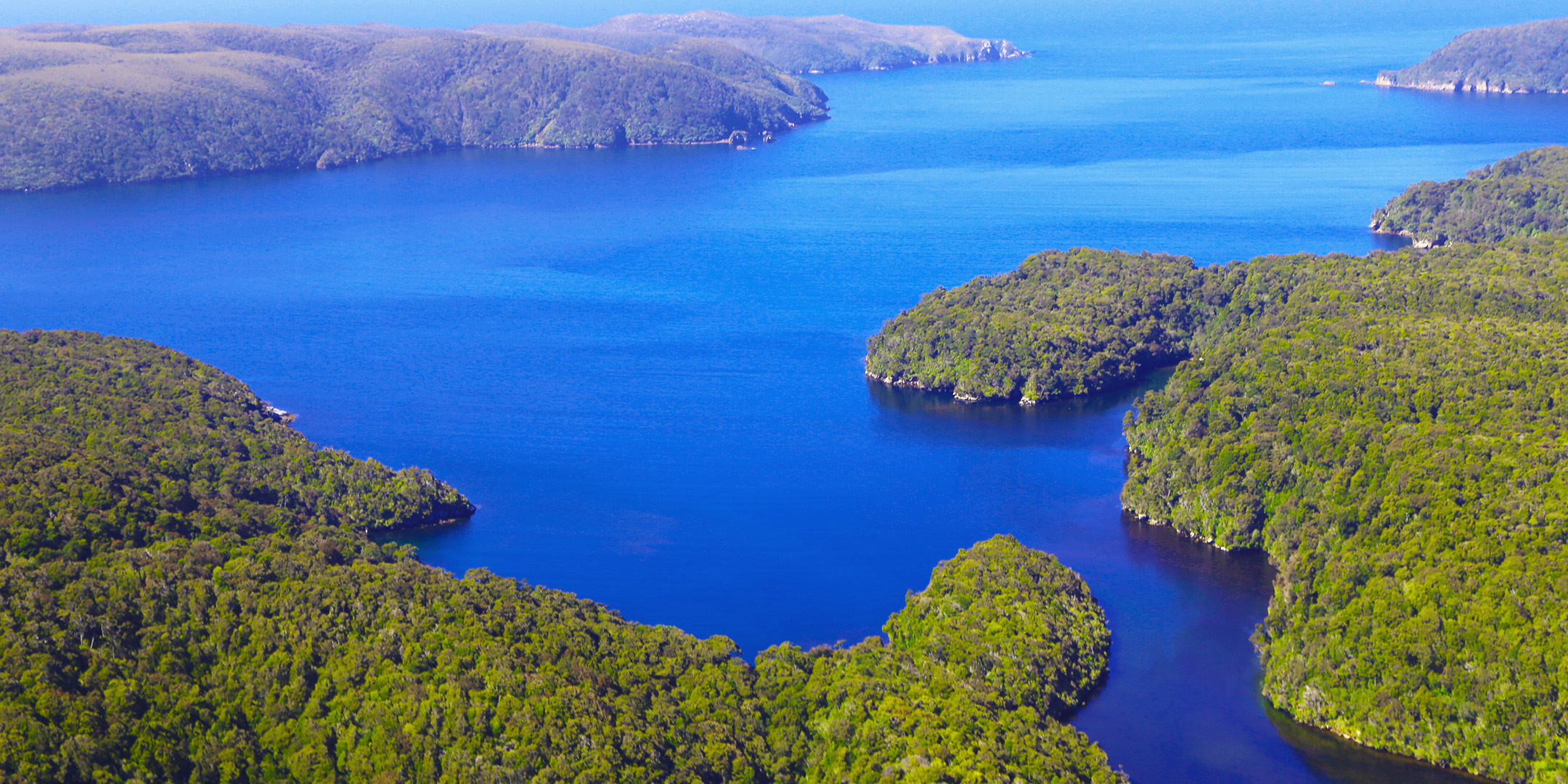 Port Pegasus | Pikihatiti Salmon Farms