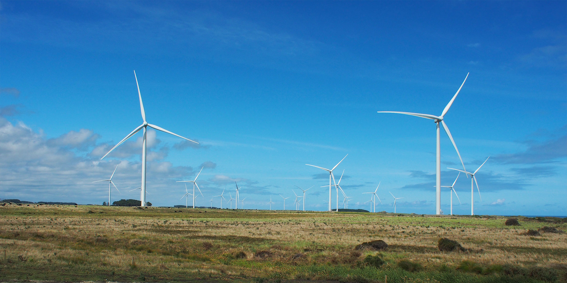 Waipipi Wind Farm