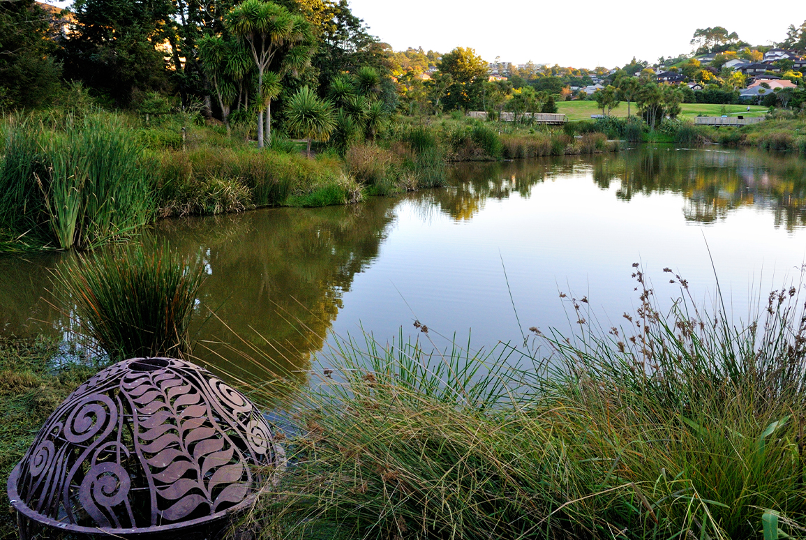 Promoting Nature-based Solutions to stormwater in our urban areas