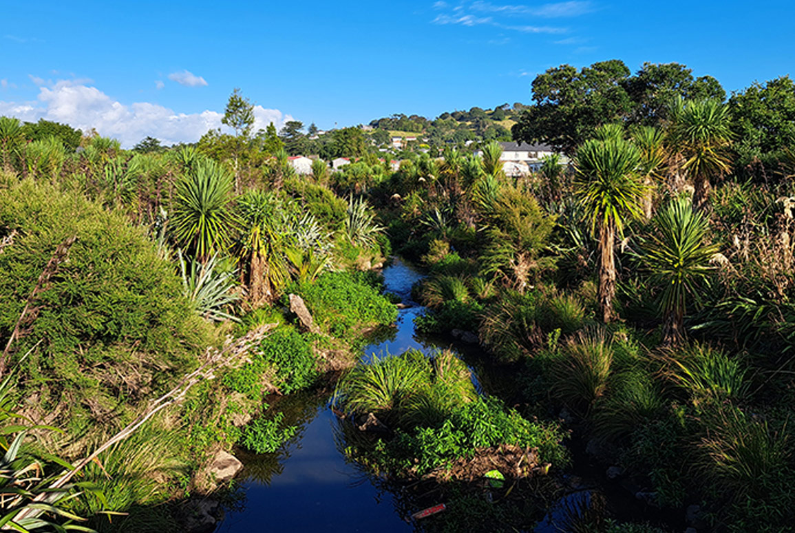 christchurch