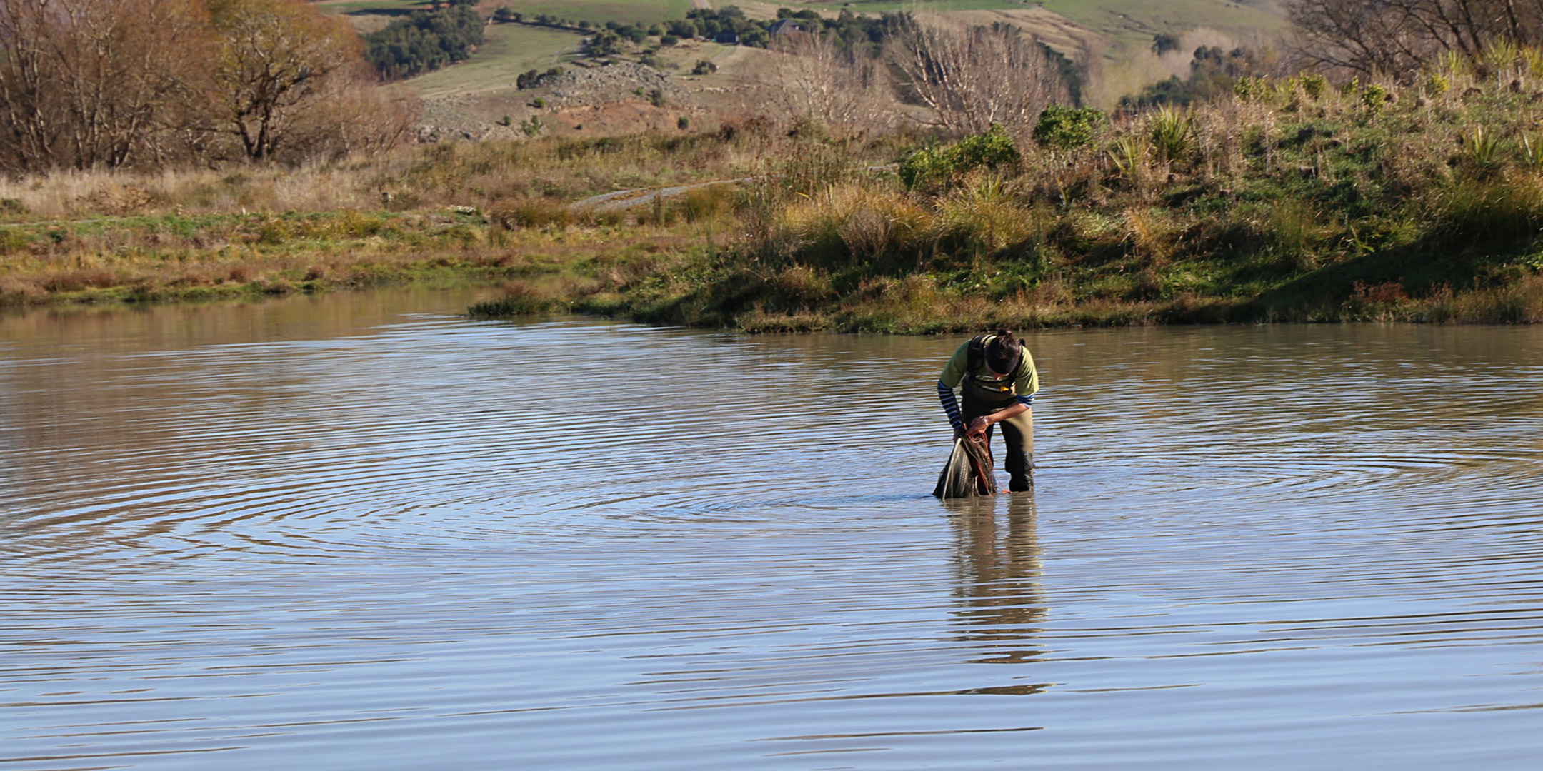 Ahuriri Lagoon Mātauranga Māori Monitoring Programme