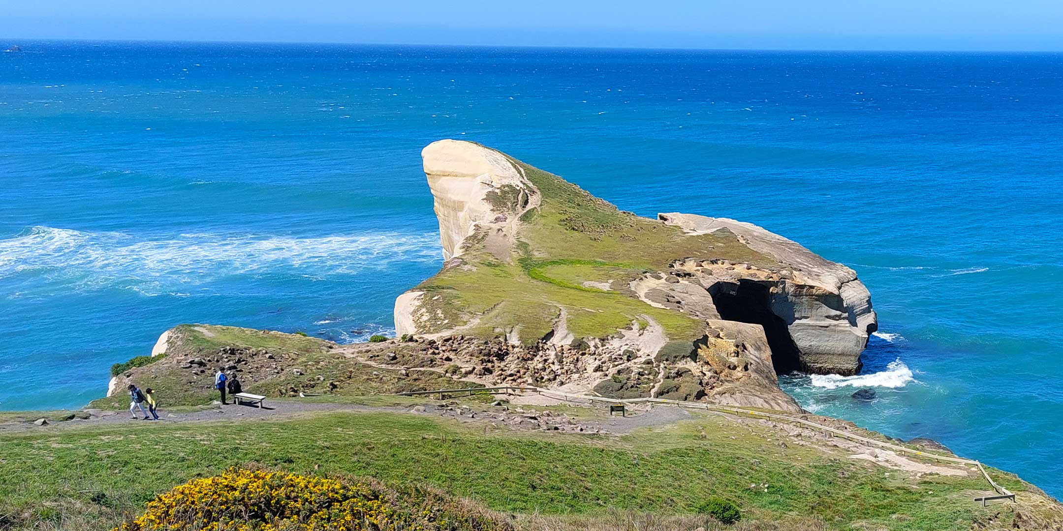 Tunnel Beach Track Upgrade