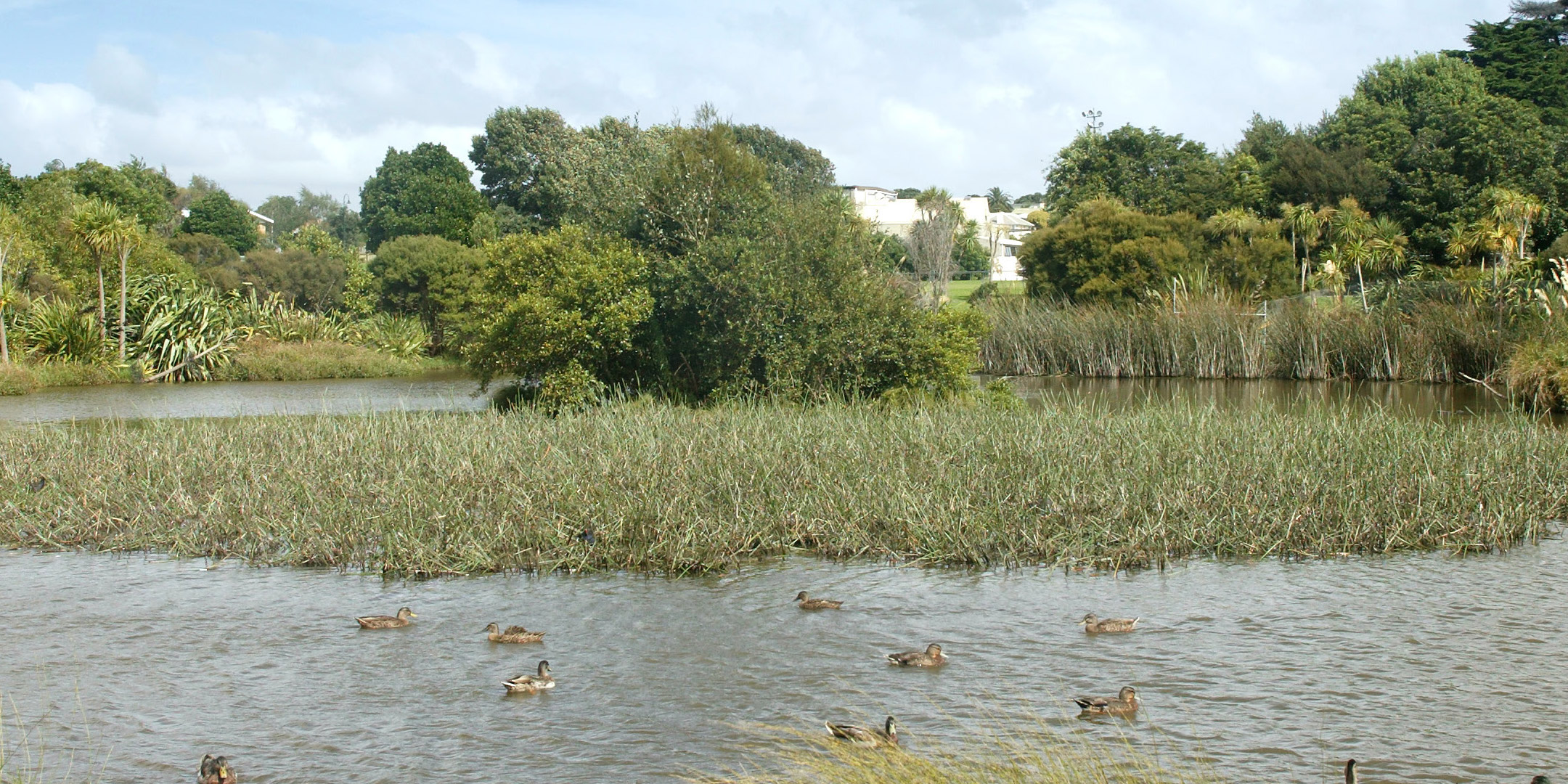 ARC Stormwater Management Guidelines