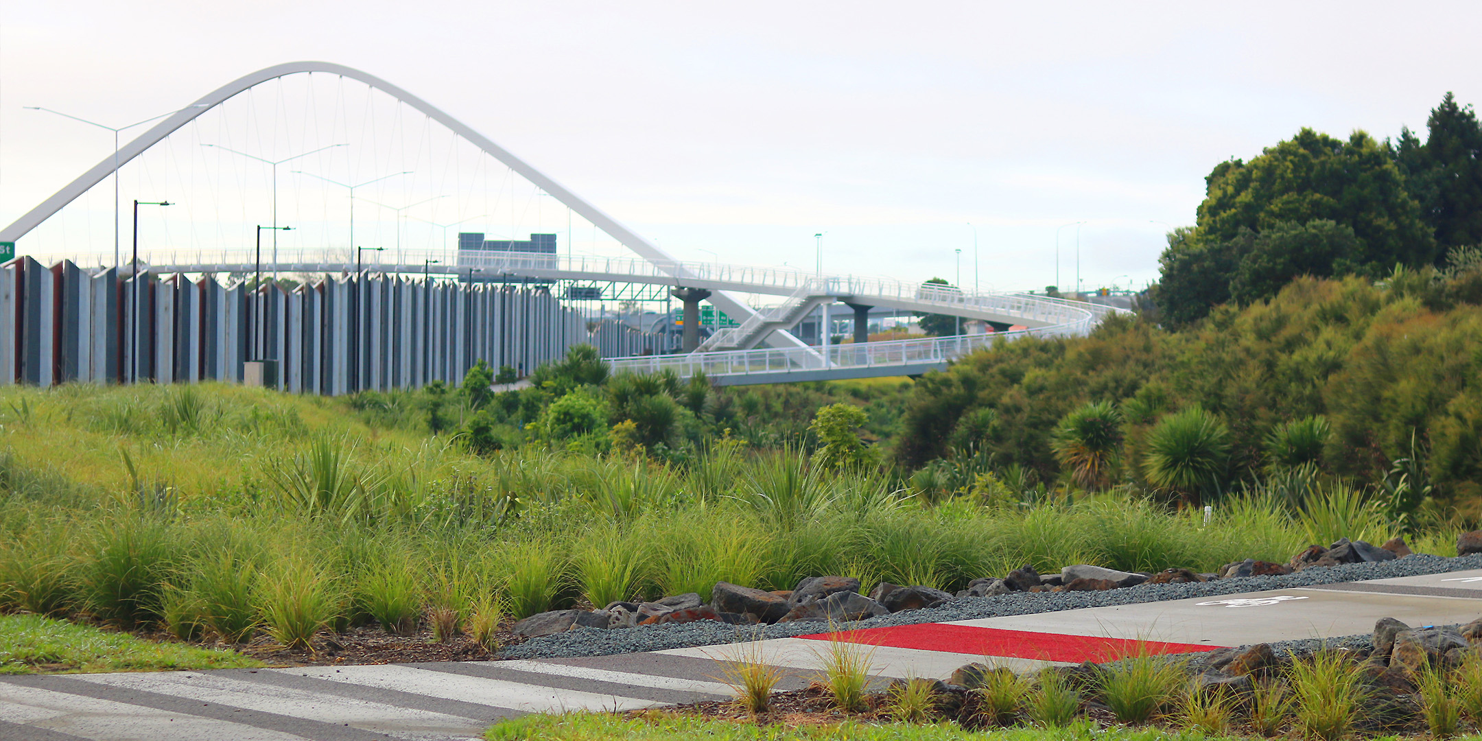 Waterview Connection Shared Path