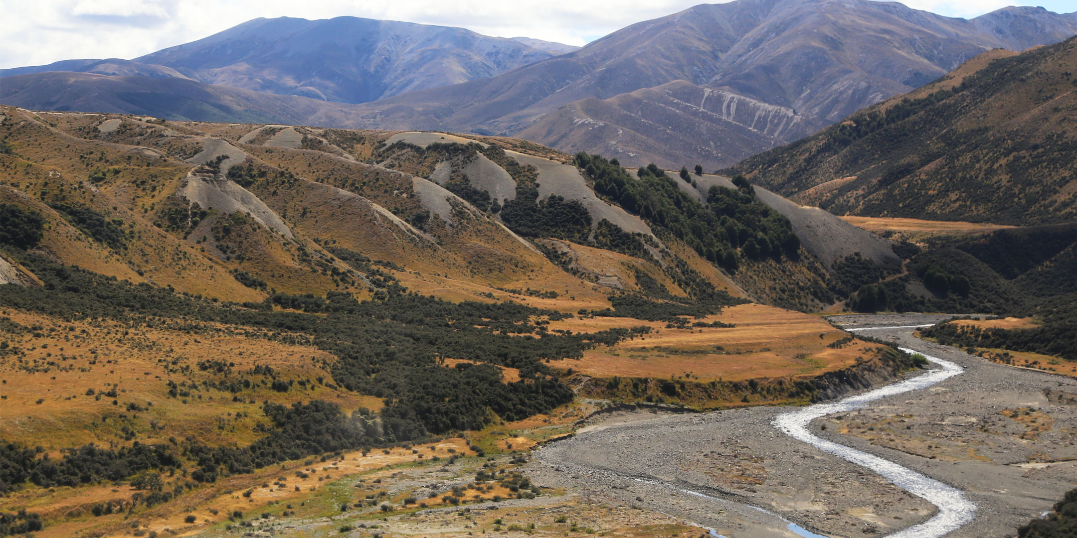 Upper Waimakariri River weed control strategy