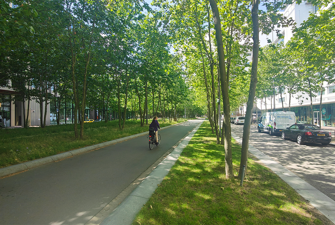 Let's rehumanise the machine: What Marco te Brömmelstroet made me rethink about cities
