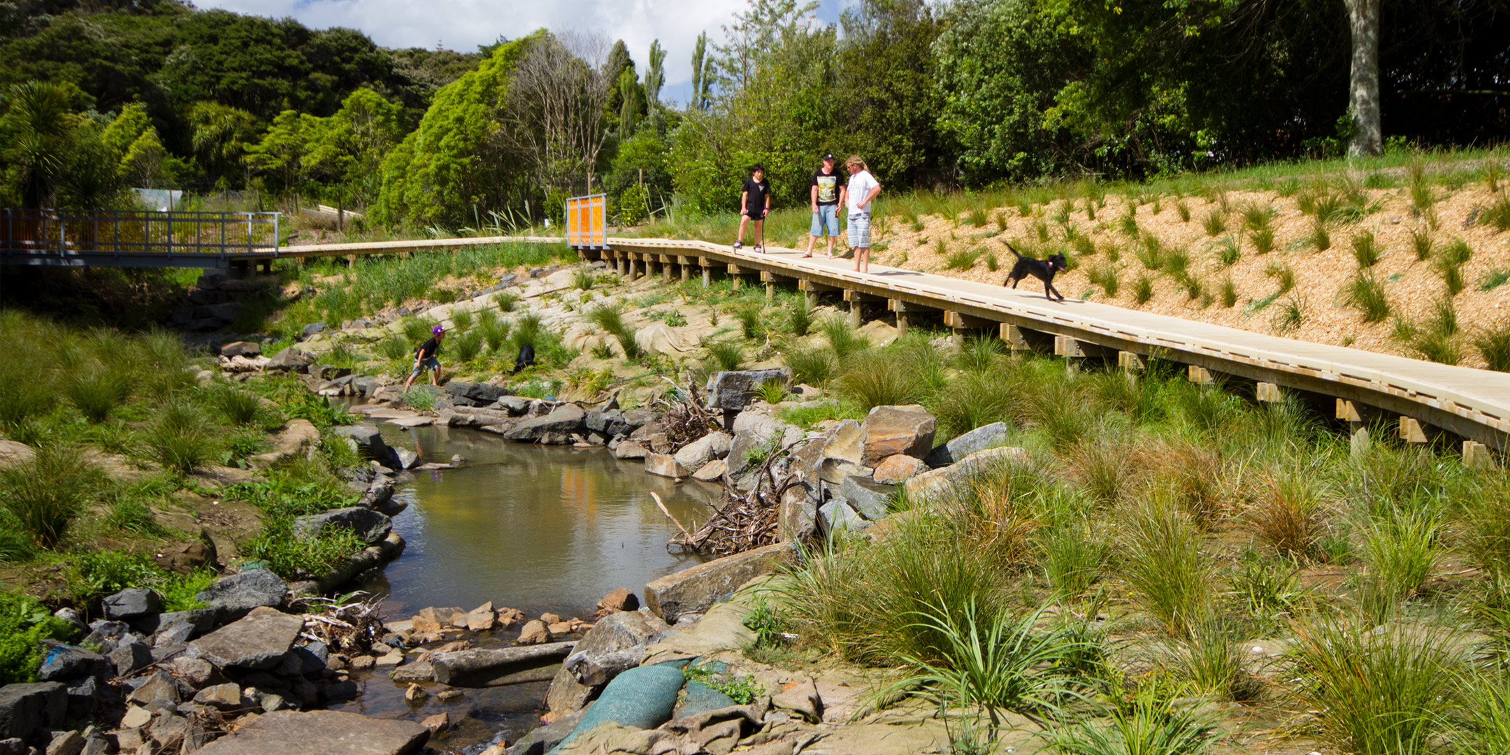 La Rosa Stream Daylighting