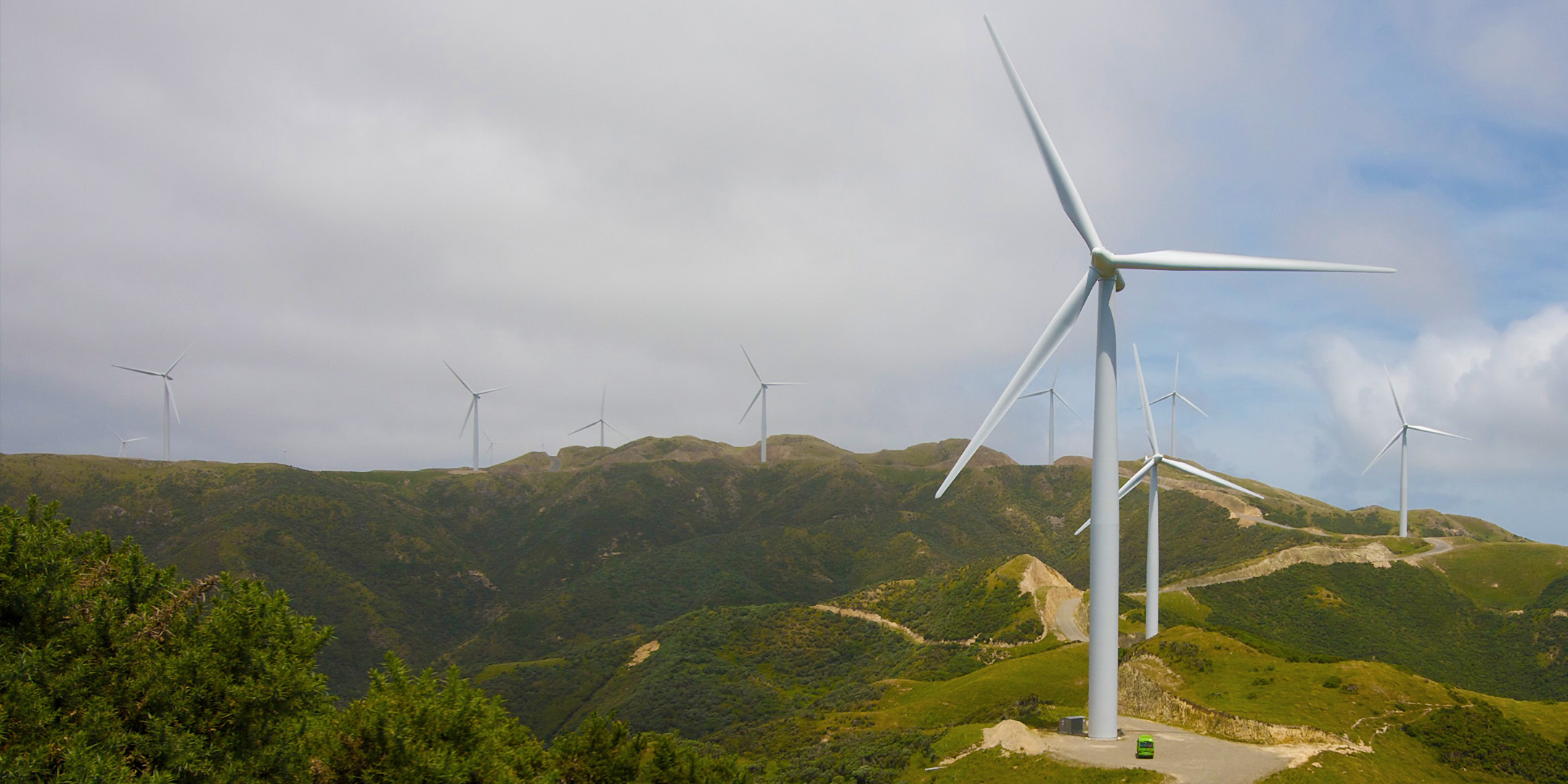 Meridian Energy: Nature Strategy and Reporting