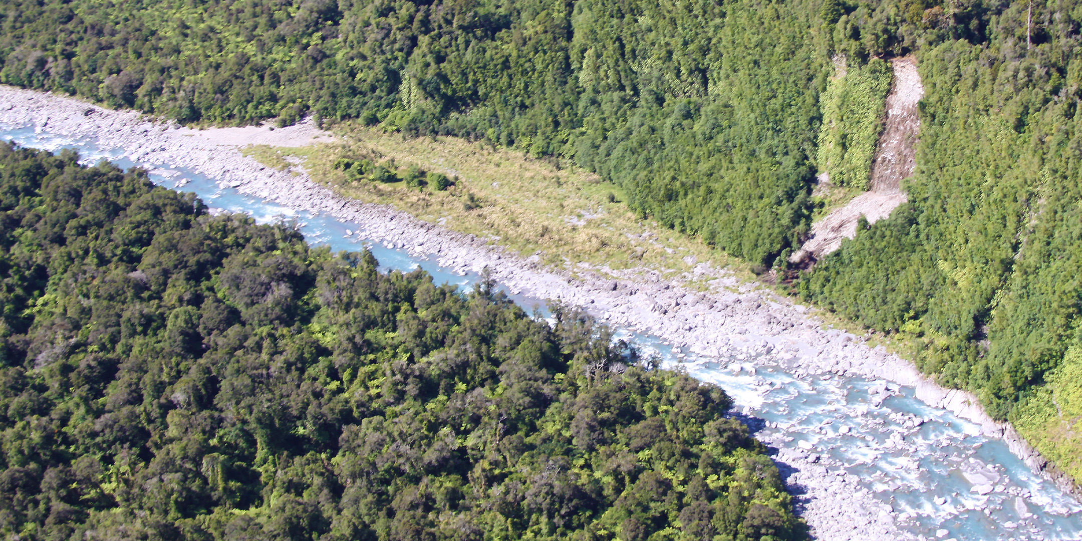 Waitaha Hydro Scheme: climate change and biodiversity assessment