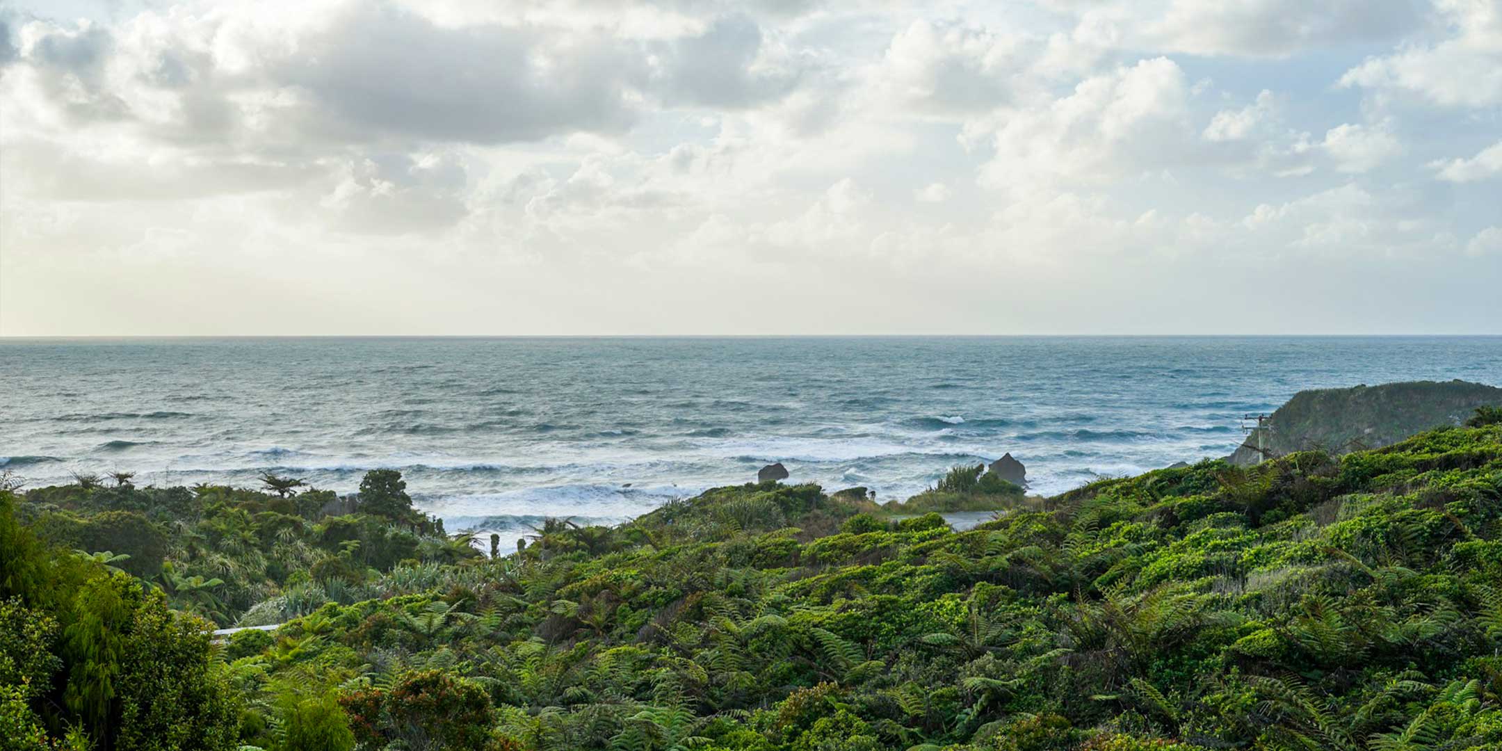 Greater Punakaiki Community Masterplan and Programme Business Case