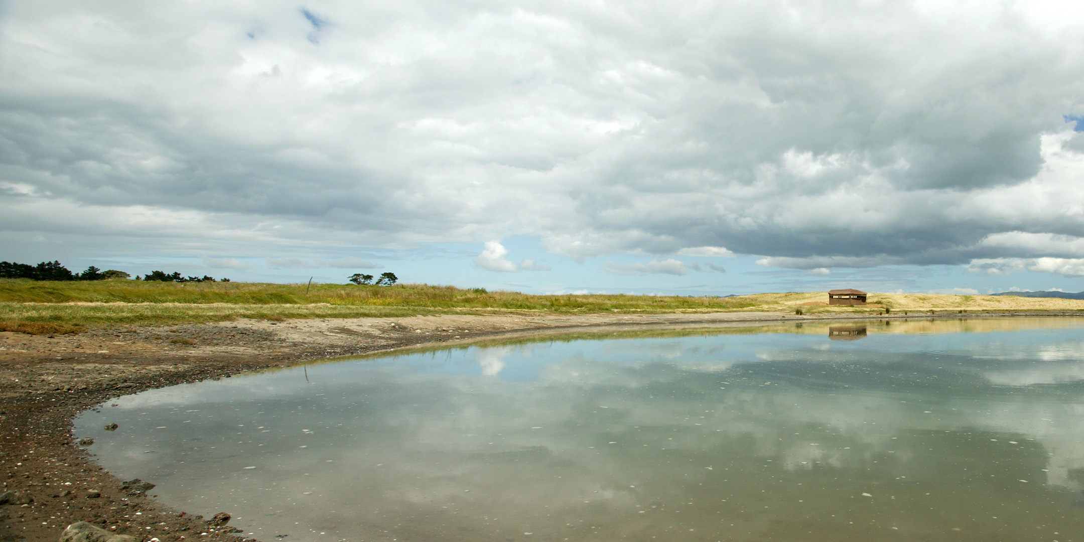 Project Manukau Coastal and Foreshore Restoration