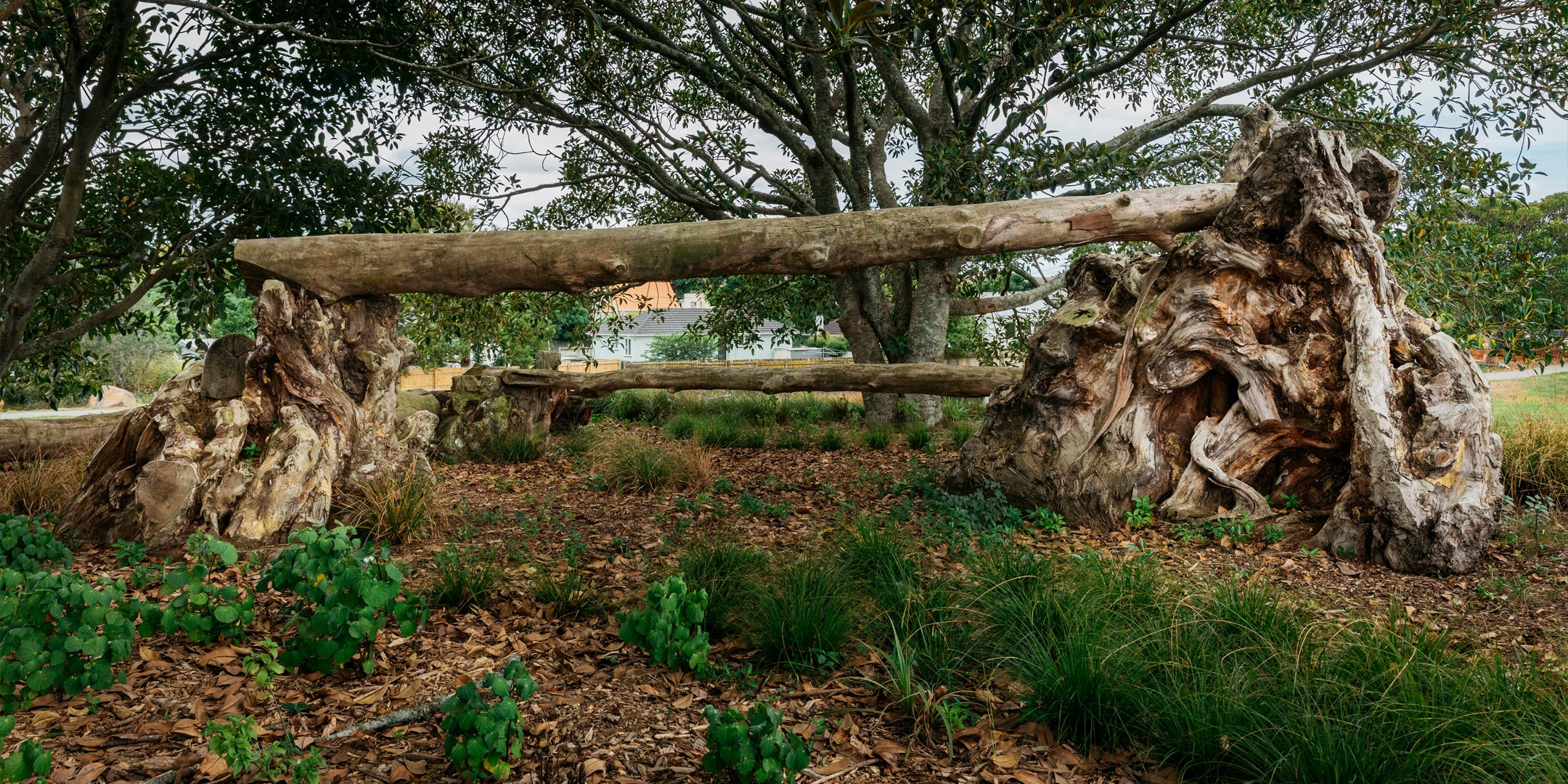 Te Māra Hūpara Playground