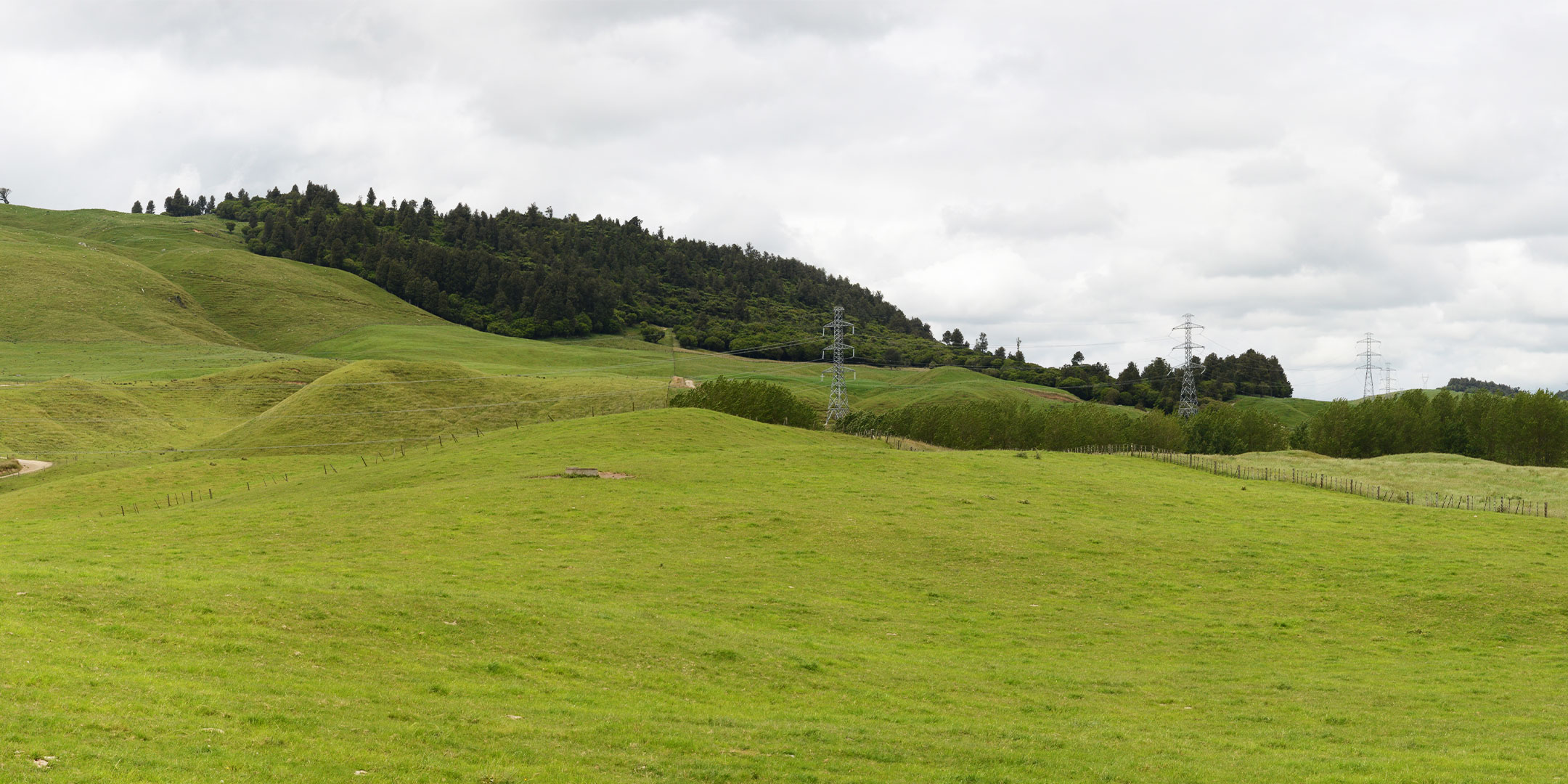 Wairakei to Whakamaru New 220kV Transmission Line