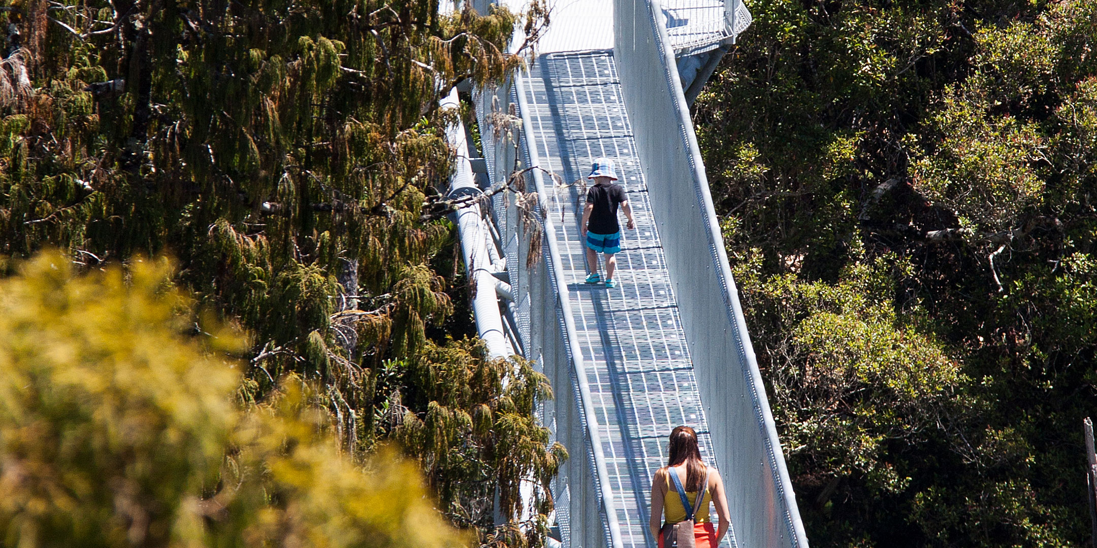 Lake Mahinapua Treetop Walkway