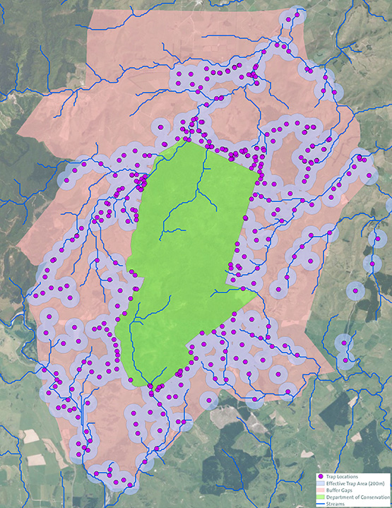 Pūkaha Mount Bruce Pest Control Buffer Strategy | Boffa Miskell