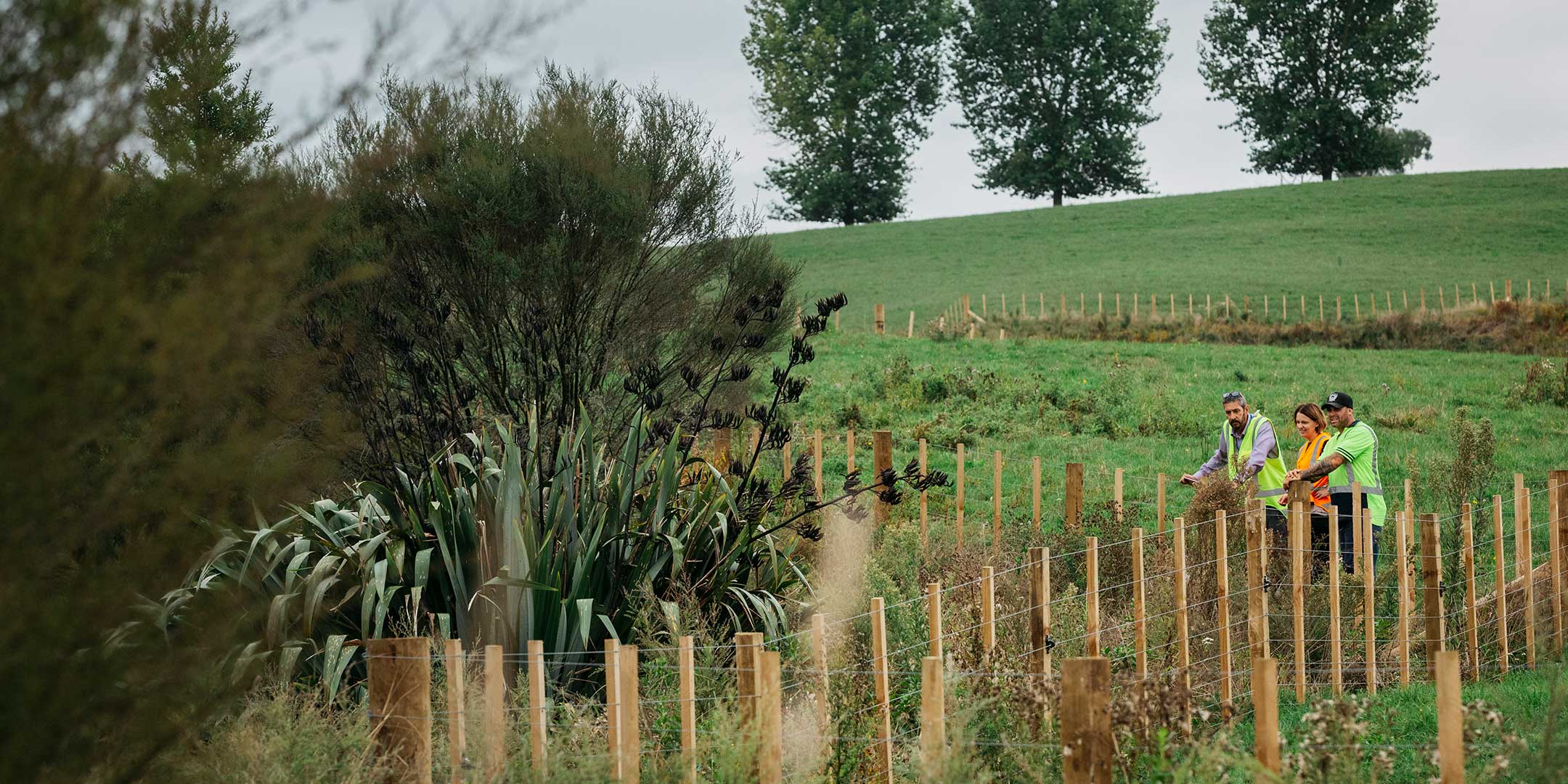 Award of Excellence | Project-based Landscape Planning | NZILA Resene Pride of Place Landscape Architecture Awards