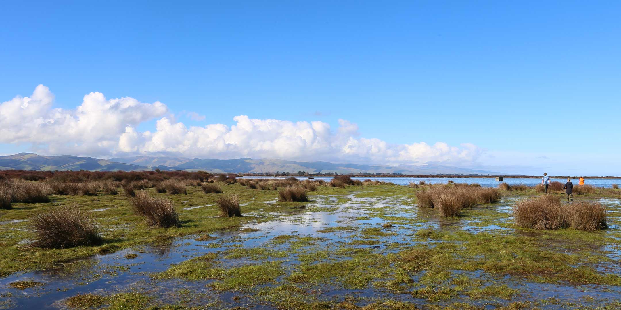 Ararira/LII River - Mātauranga Māori Monitoring