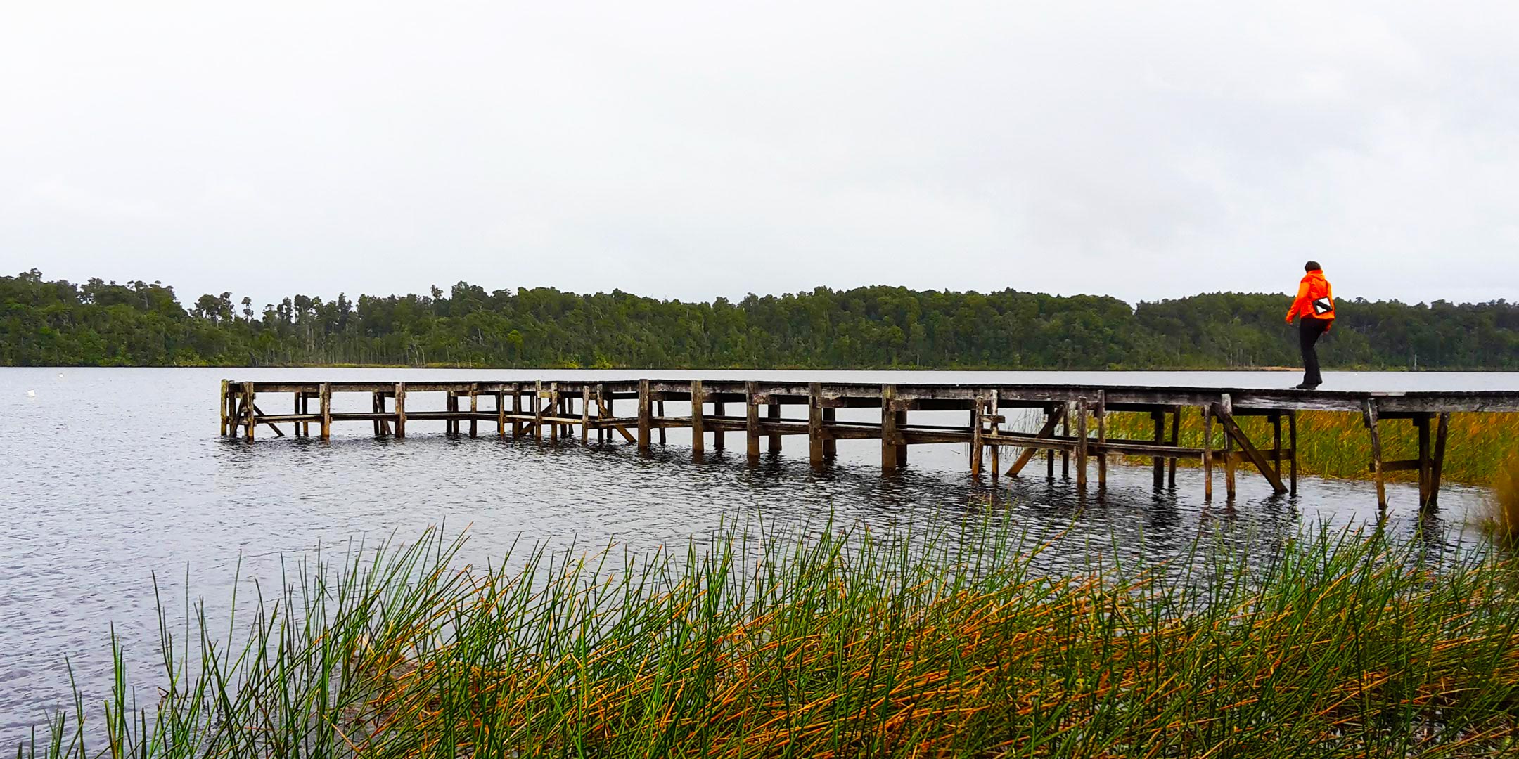 Lake Māhinapua Management Plan