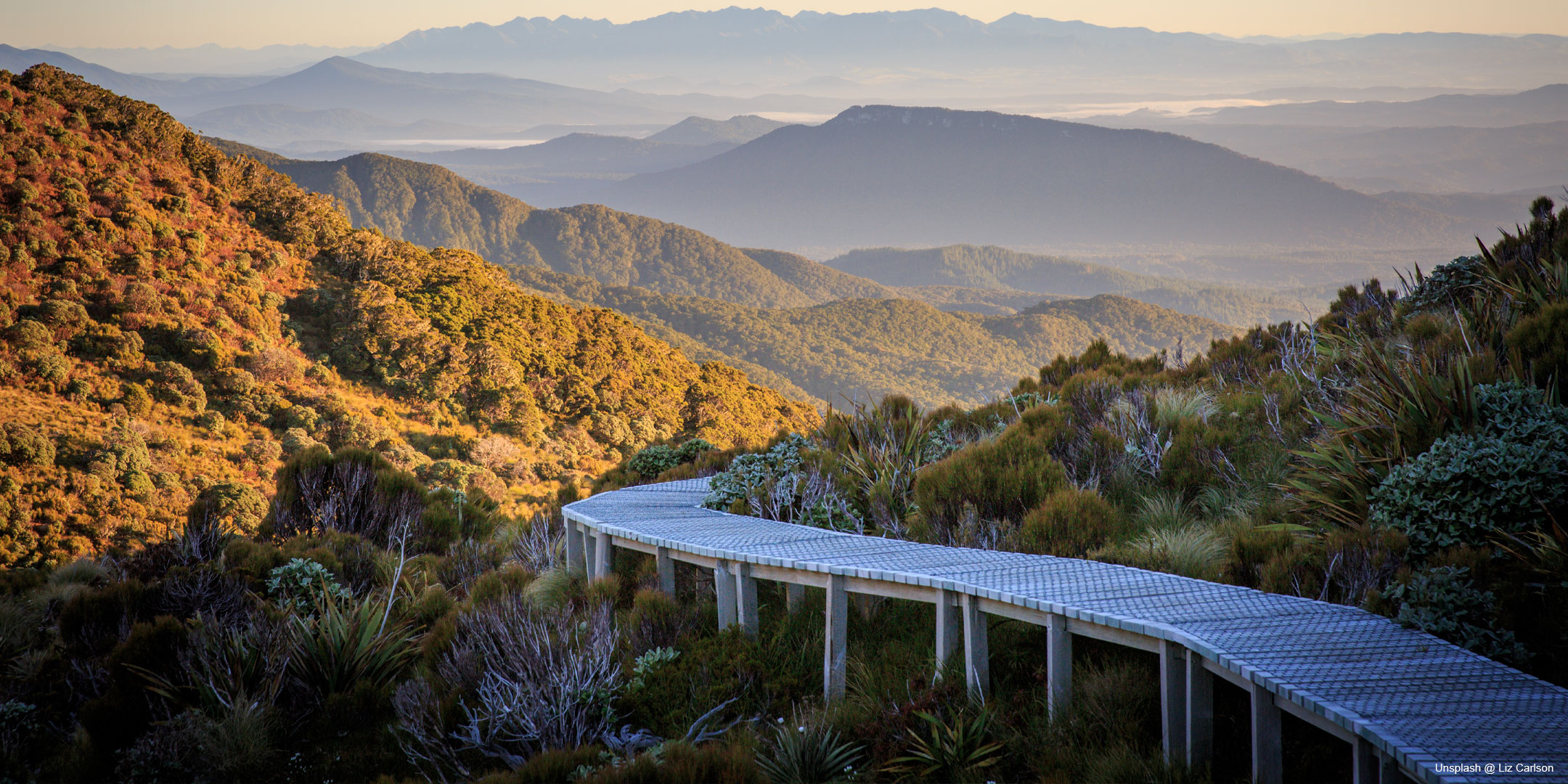 Roadmap for Scaling Nature-based Solutions for Climate Adaptation in Aotearoa New Zealand