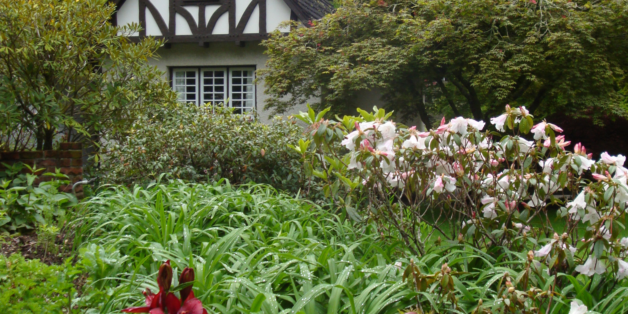 Bronze Award | Rural • Park • Recreational Landscape Design | NZILA Resene Pride of Place Landscape Architecture Awards