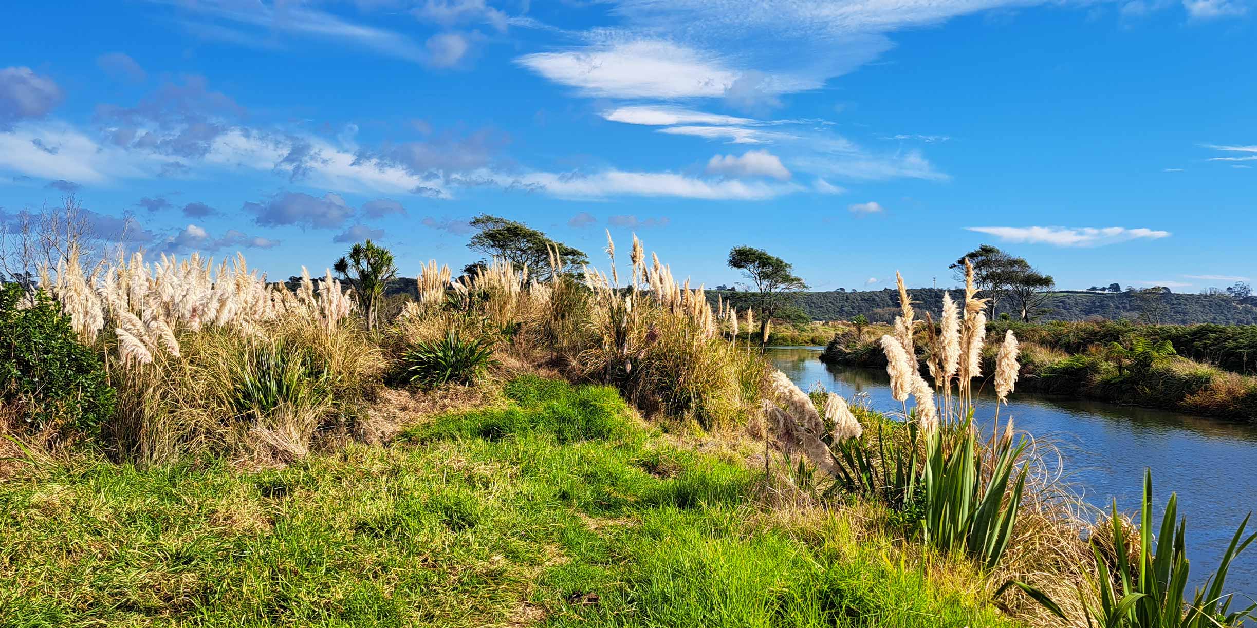 Waihī Estuary Catchment Wetland Restoration