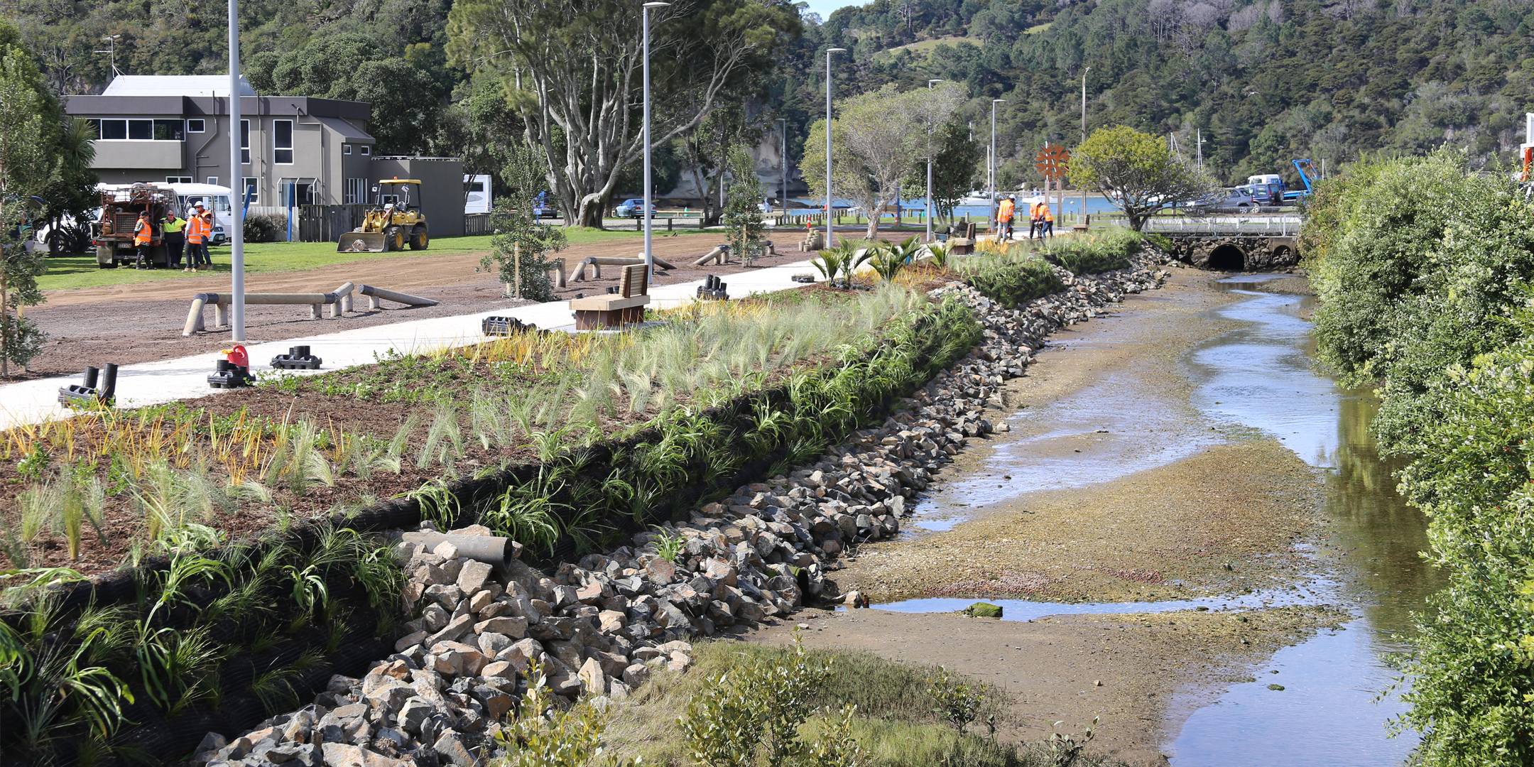 Carina Creek, Whitianga